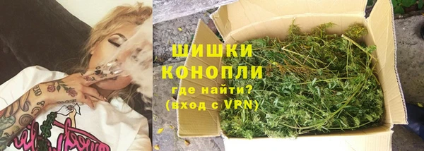 прущие грибы Баксан