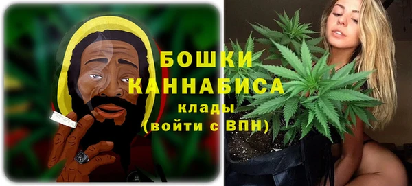 PSILOCYBIN Армянск