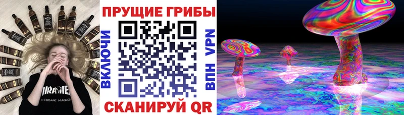 blacksprut рабочий сайт  Сафоново  Галлюциногенные грибы Magic Shrooms  дарнет шоп 
